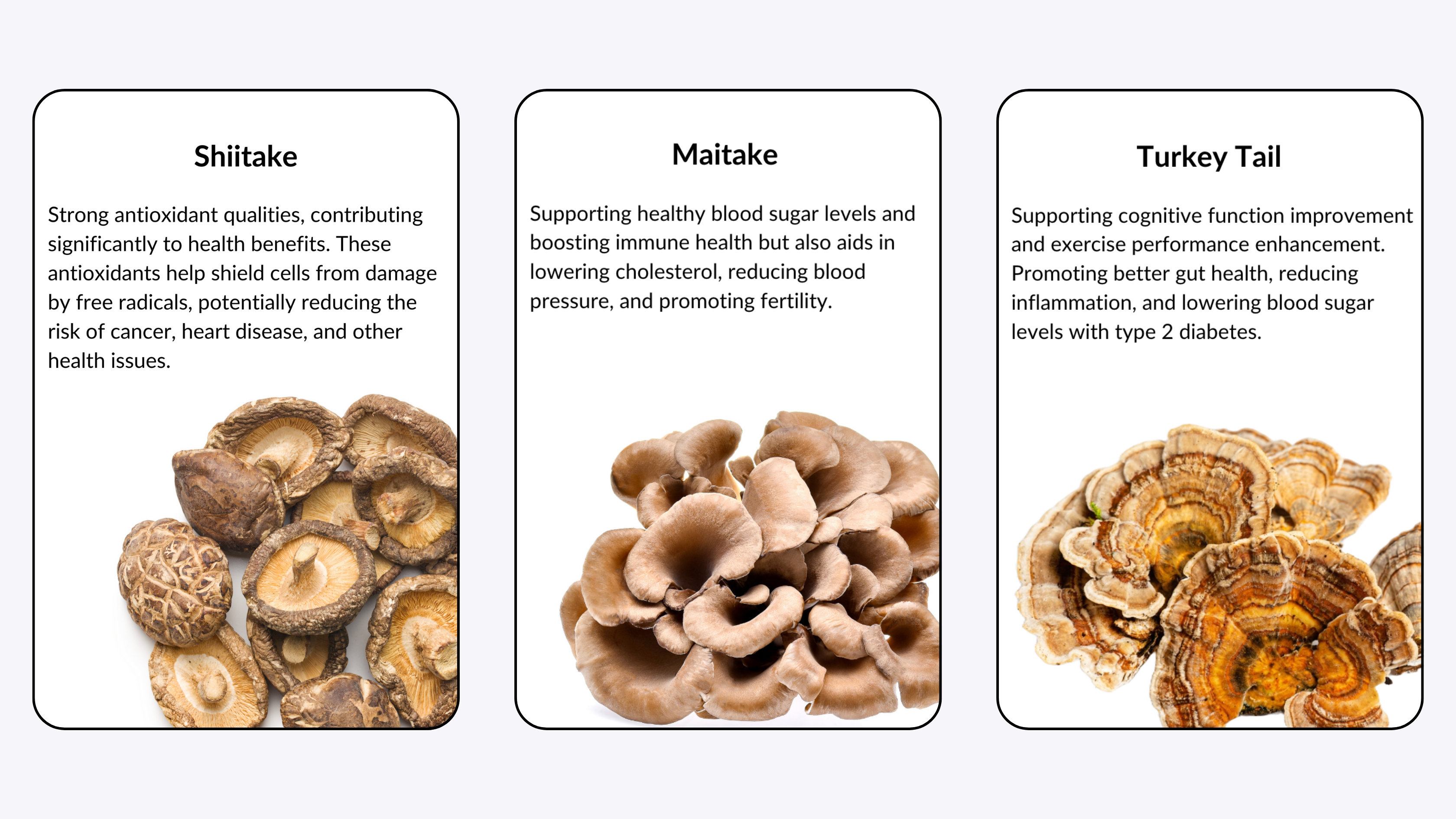 Fermented Mushrooms Ingredients 